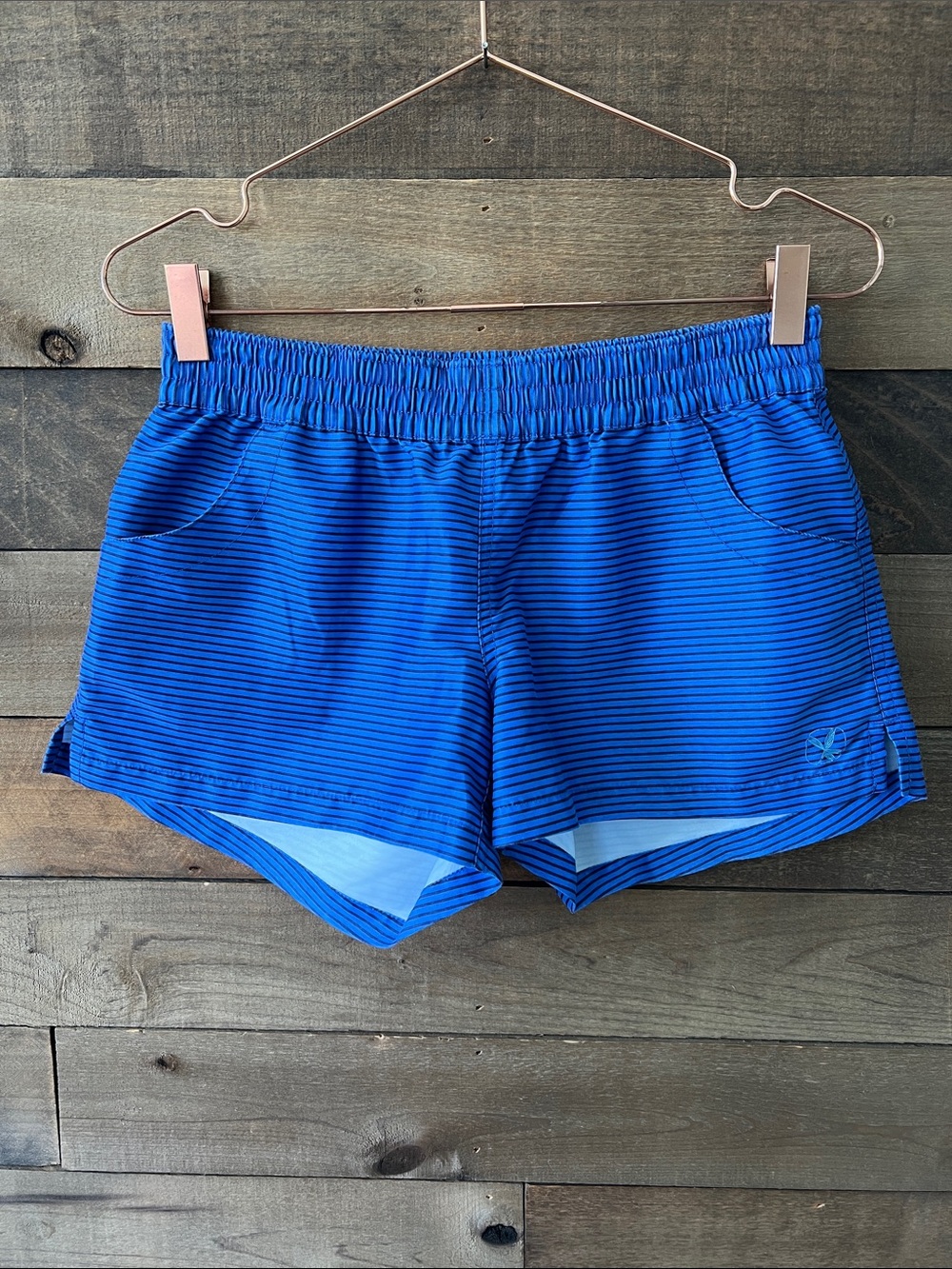 Carve Designs Women's Blue Navy Stripe Print Athletic Shorts Size 4